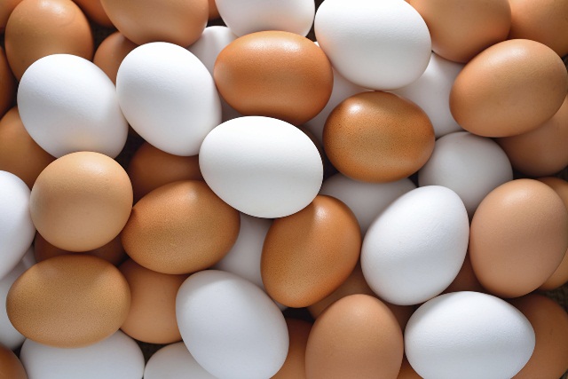 Dalbadal 41 yumurta yedi və öldü