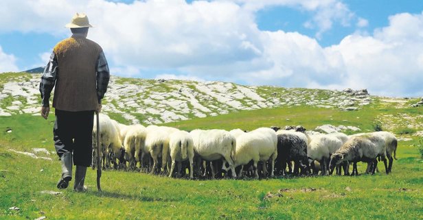 Göygöldə itkin düşən çoban axtarılır - FOTO