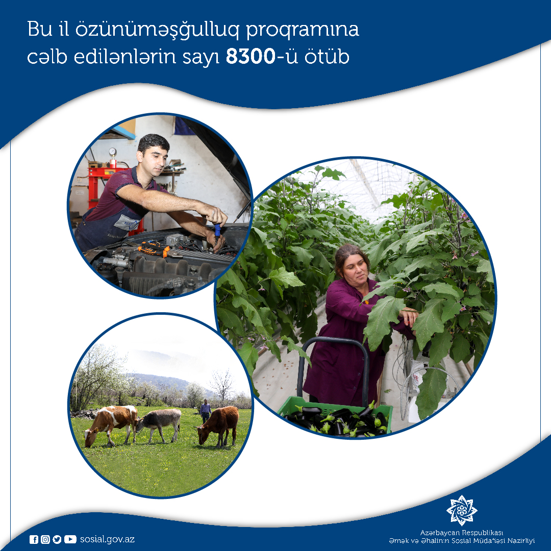 Özünüməşğulluq proqramına cəlb edilənlərin sayı 8300-ü ötüb - RƏSMİ