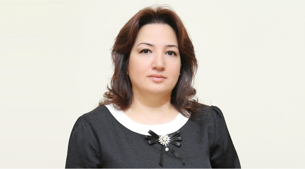 Pərvin Kərimzadə: TANAP Azərbaycanın enerji siyasətində uğurların davamıdır  