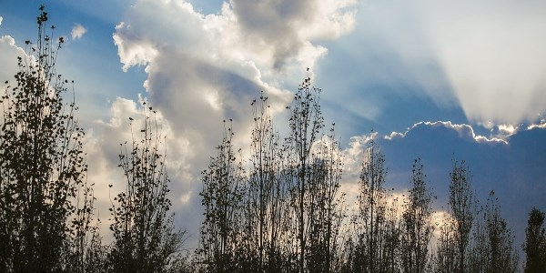 Sabahın hava proqnozu AÇIQLANDI