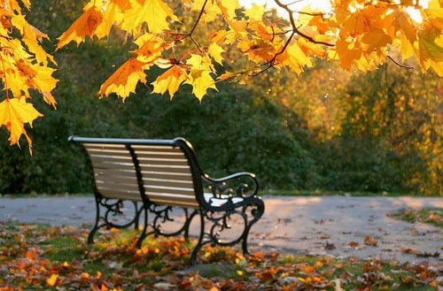 Gilavar küləyi bəzi insanlarda narahatlıq yaradacaq - Sabahın hava proqnozu