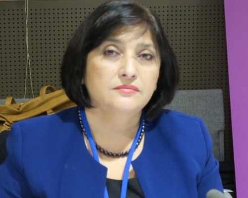 “Azərbaycan iqtisadi inkişaf baxımından heç bir ölkədən asılı deyil” – Sahibə Qafarova