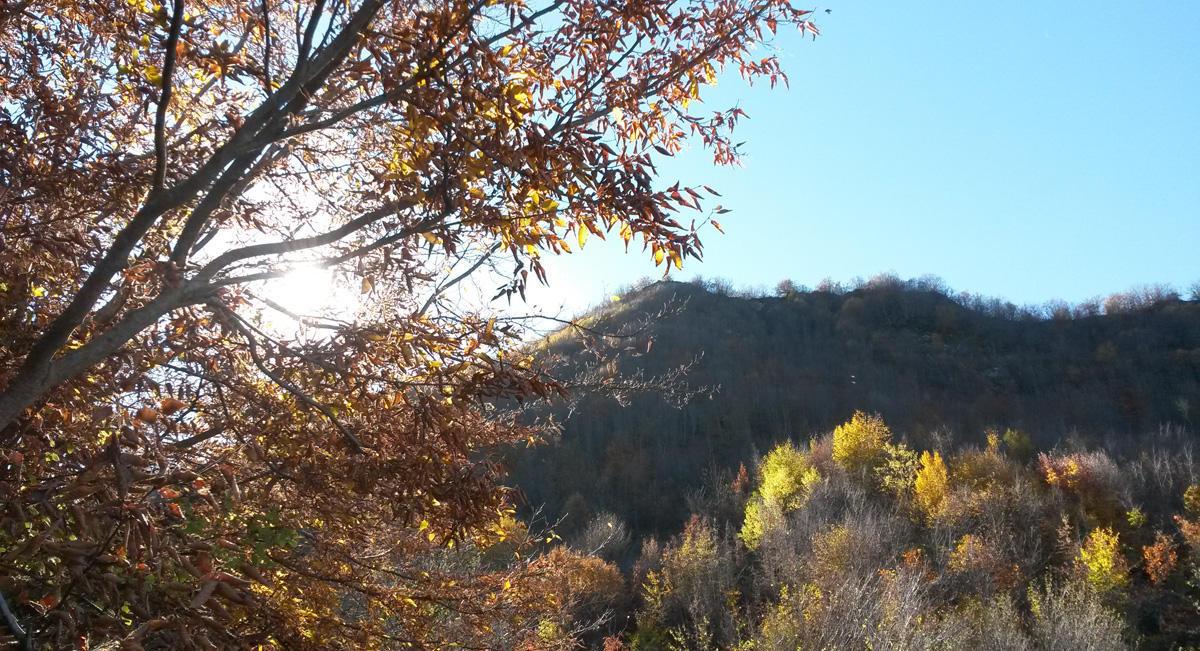 Havanın temperaturu artır