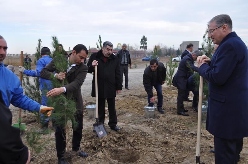 İcra başçısı nazirlə birgə ağac əkdi - FOTO