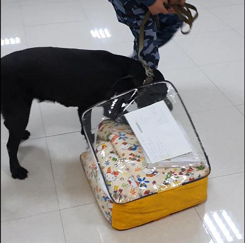 Gömrükdə 24 kiloqram narkotik vasitə müsadirə olundu 
