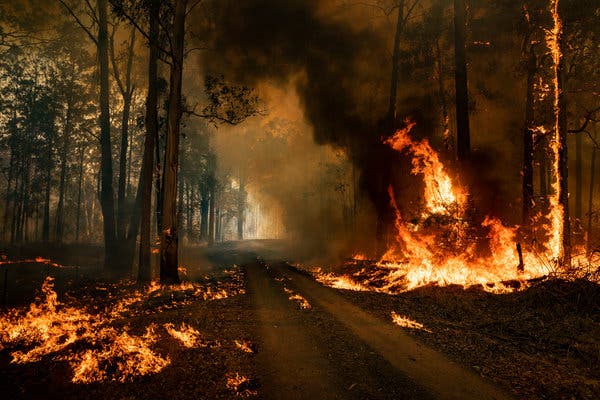 Avstraliyada meşə yanğınları can almağa davam edir