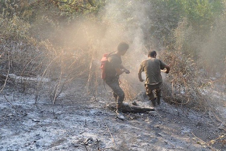 Ağstafada yanğının meşə zolağına keçməsinin qarşısı alınıb