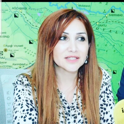 Ağac kəsintisi ilə bağlı araşdırma aparılır