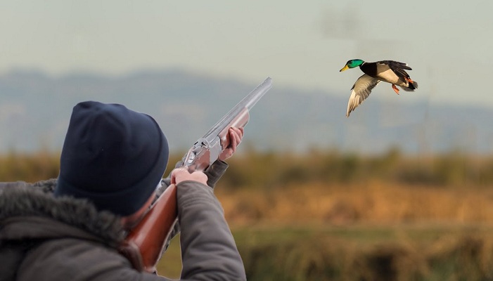 İcazəsiz ov edən 12 nəfər saxlanıldı