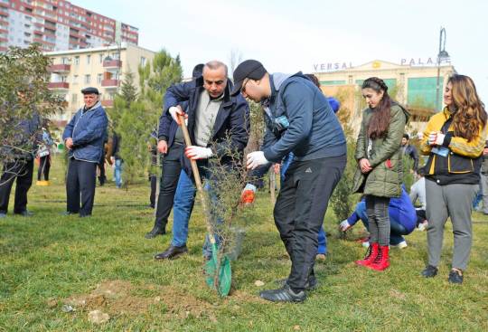 Azay Quliyevin seçki qərargahı \