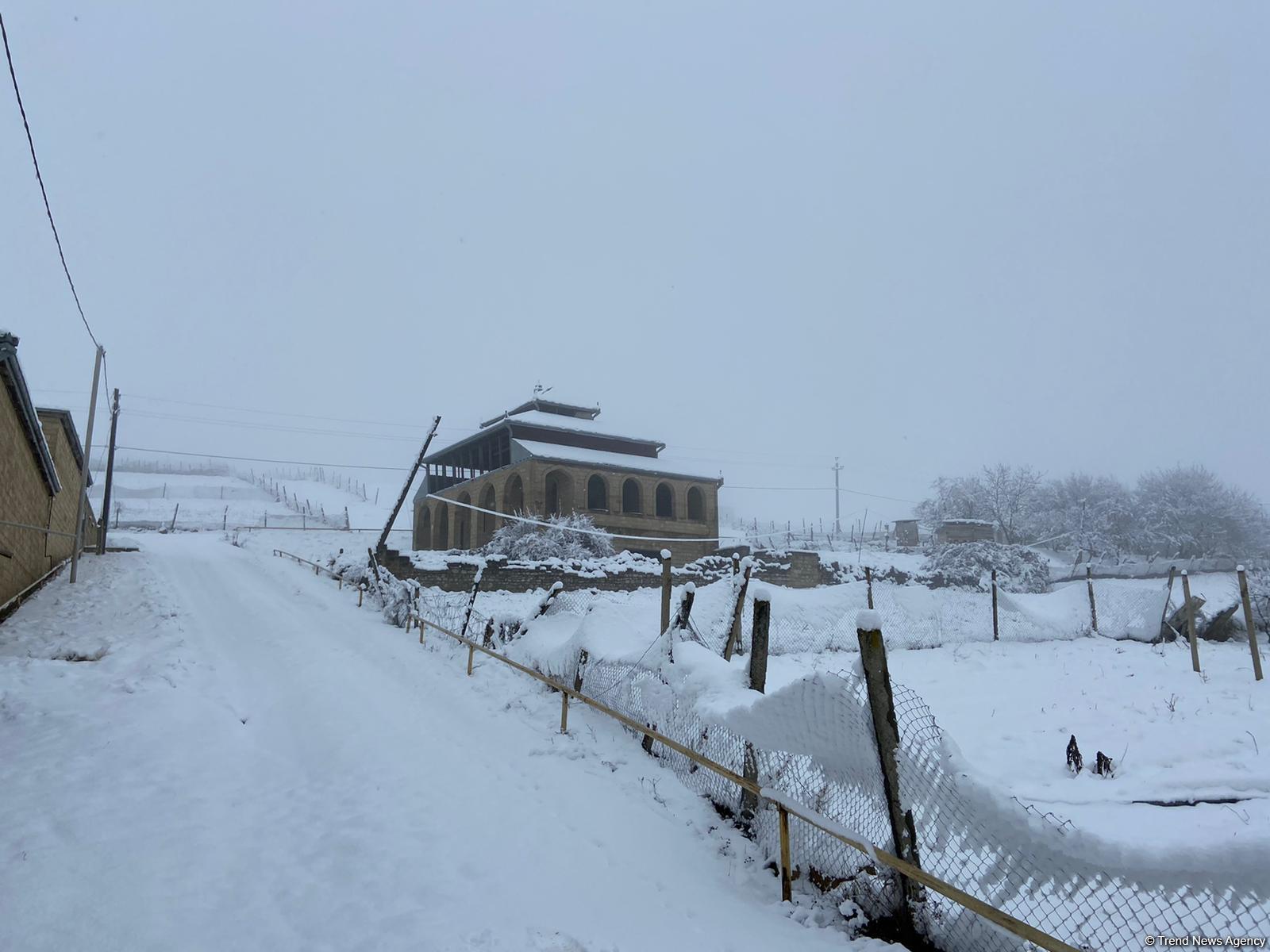 Ən çox qar hara yağdı? - Temperatur 2,5 dərəcə aşağı endi
