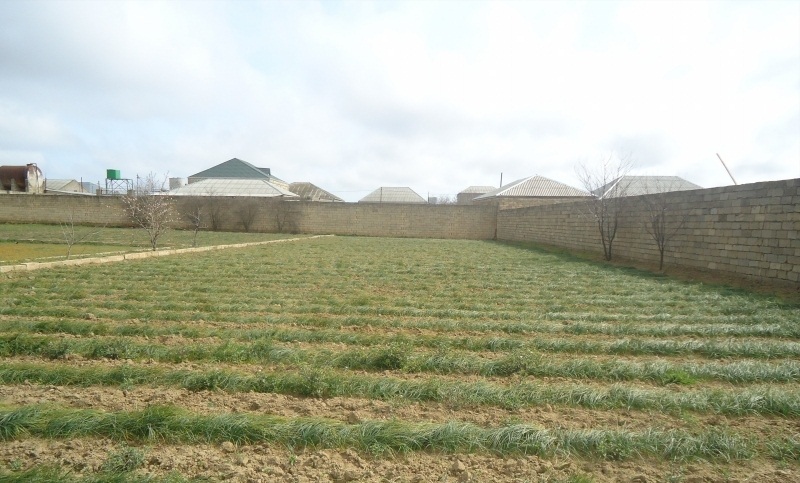 Bakıda sotu 230 manata torpaq satılır