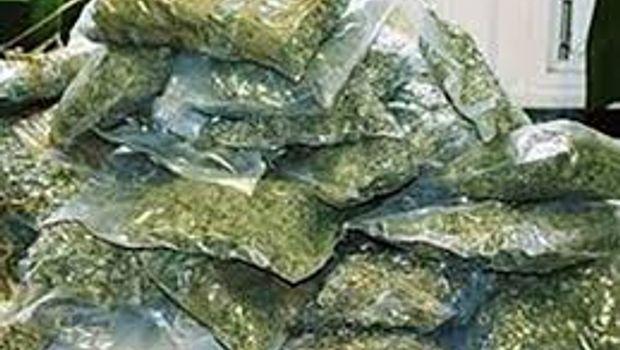 Gəncə sakinindən yarım kilo marixuana götürülüb