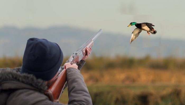 İcazəsiz ov edən şəxslər saxlanıldı
