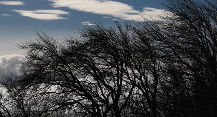 Sabahın hava proqnozu - duman, güclü şimal-qərb küləyi