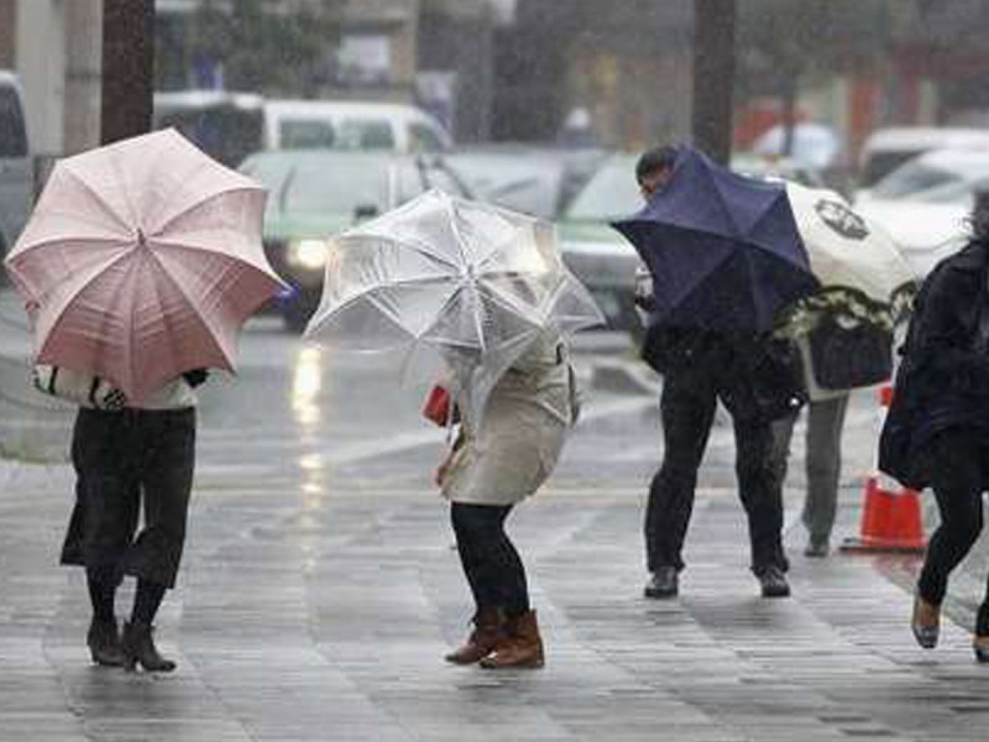 Nazirlikdən hava xəbərdarlığı - temperatur 5-8 dərəcə enəcək