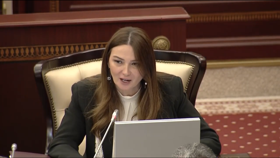 “Bu ailələr Milli Məclisdən dəstək gözləyir” - Qənirə Paşayeva