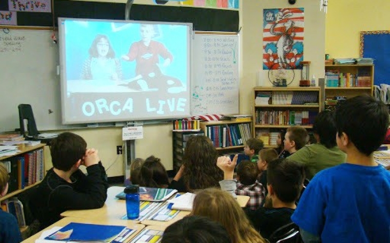 Teledərslərin sabaha olan cədvəli açıqlandı