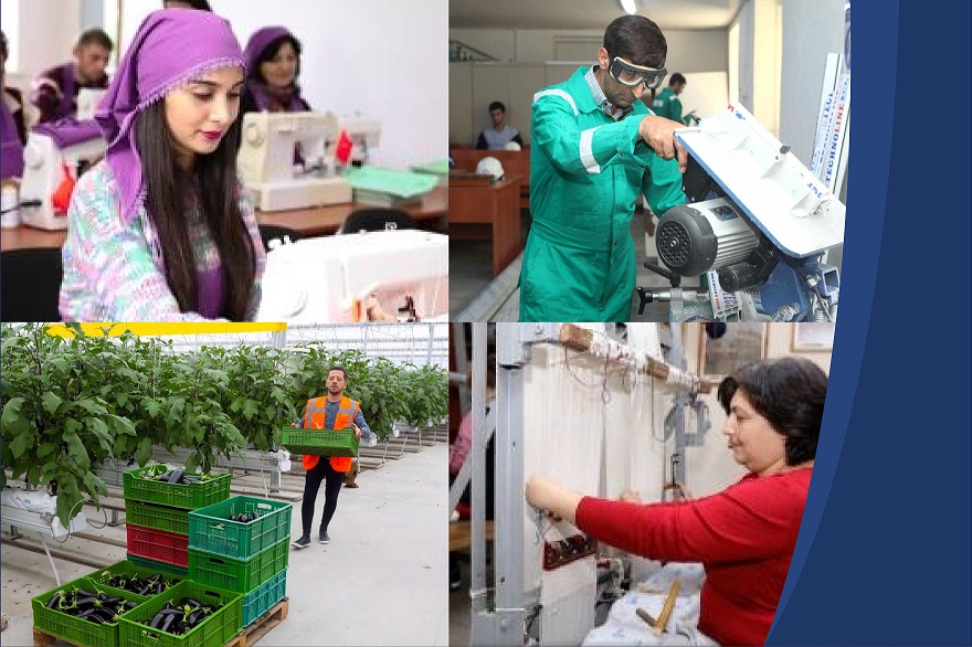 Daha 400 peşə və kvalifikasiya standartı hazırlanacaq