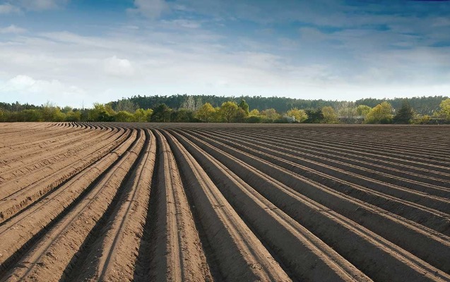 “Pay torpaqları” ilə bağlı mühüm QƏRAR
