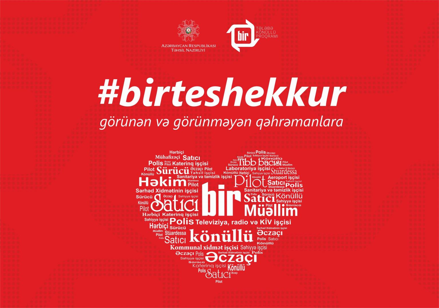 “Bir” Tələbə-Könüllü proqramının təşəbbüsü ilə onlayn fleşmoba start verilib