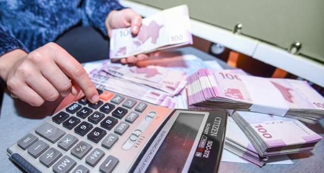 Maliyyə dəstəyi alan vergi ödəyicilərinin adları açıqlandı - SİYAHI
