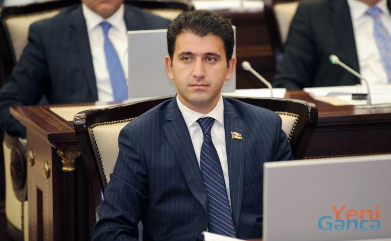 Naqif Həmzəyev: Prezidentin insanların sağlamlığını iqtisadi fəallıqdan üstün tutması humanizmin təntənəsidir