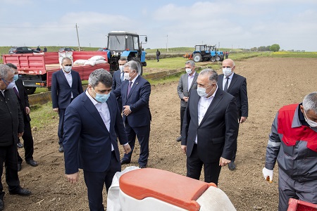 Nazir çiyid səpinində iştirak etdi