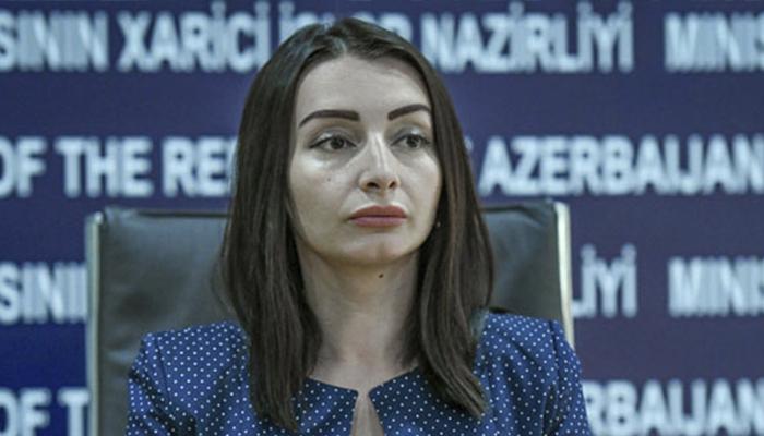 Ermənistanın təşkil etdiyi qondarma “seçkilər” qurama oyundur - XİN