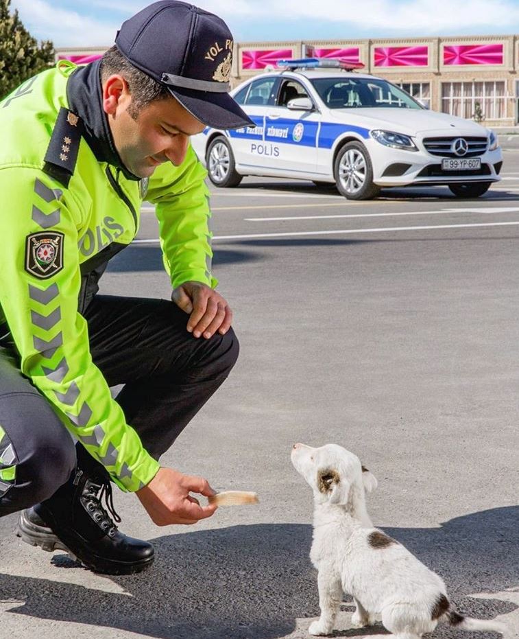 Yol polisinin bu FOTOSU maraqla qarşılandı  