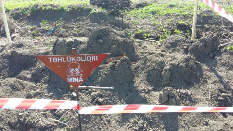 Tərtərdə minaatan mərmisi və tank əleyhinə raketin motor hissəsi tapılıb