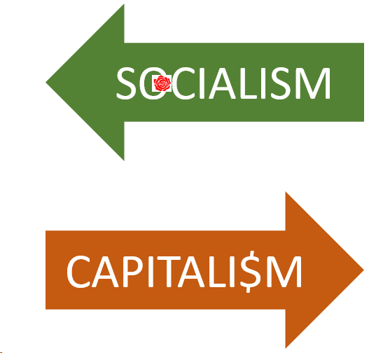 Koronavirus kapitalizmin sonunu gətirdi? - Politoloq: “Sosializm quruluşu formalaşacaq”