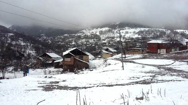 Goranboya yağan qar problemlər yaratdı - FOTO