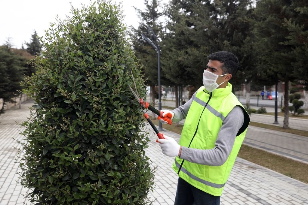 Ödənişli ictimai işlərə cəlb olunanların sayı 54 minə çatdı - FOTO
