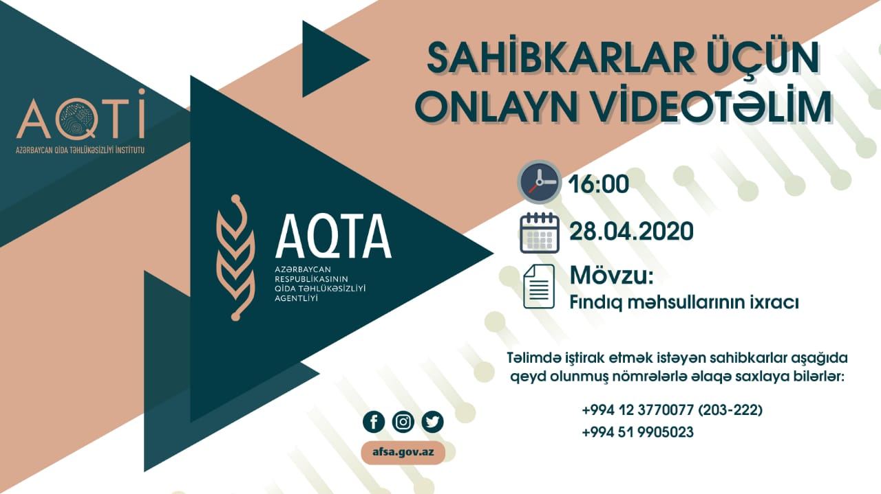 Sahibkarlar üçün onlayn videotəlimlər keçirilir