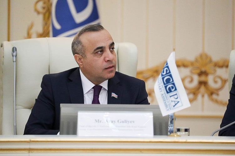 Azay Quliyev ATƏT PA-dakı nümayəndə heyətinin rəhbəri seçildi