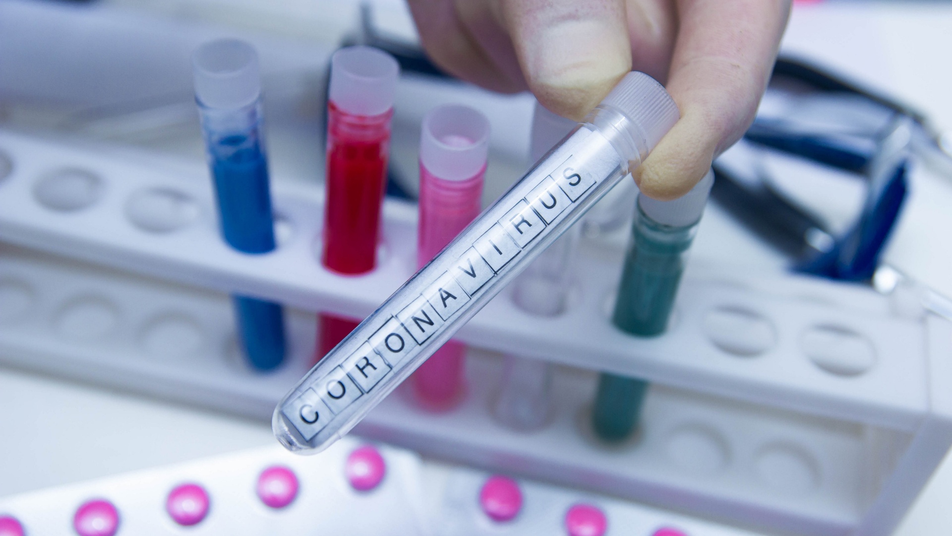 Azərbaycanda heç bir məhbusda koronavirus aşkar edilməyib - RƏSMİ