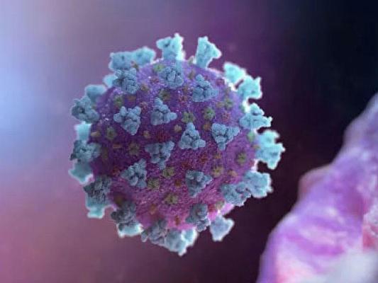 Koronavirus pandemiyası iki il davam edəcək - İDDİA