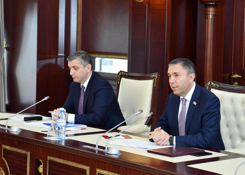 Hesablama Palatasının hesabatı: Komitə sədri müsbət və mənfi məqamları SADALADI