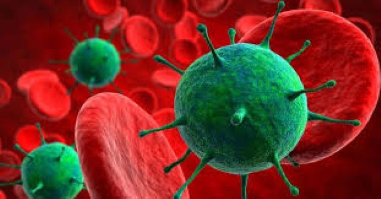Belarusda daha 877 nəfərdə koronavirus aşkarlandı
