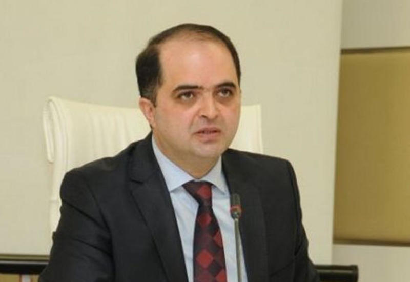 Azərbaycanın dünyaya nümunə gətirilməsi Prezidentimizin fəaliyyətinin nəticəsidir - Rəşad Mahmudov