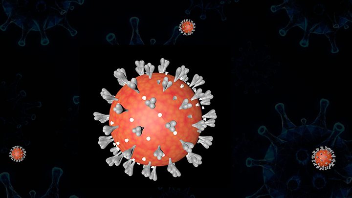 Koronavirusun mənşəyi ilə bağlı 2 versiya İRƏLİ SÜRÜLDÜ