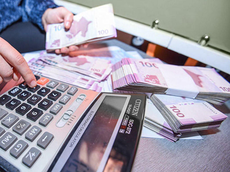 Maliyyə dəstəyi üçün müraciət edən sahibkarların sayı AÇIQLANDI