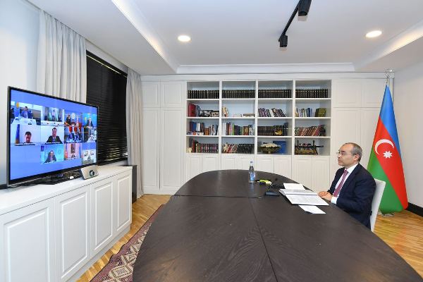Nazir Türk Şurası iqtisadiyyat nazirlərinin videokonfransına qatıldı - FOTO