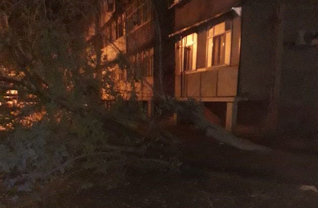 Güclü külək Mingəçevirdə fəsadlara yol açdı