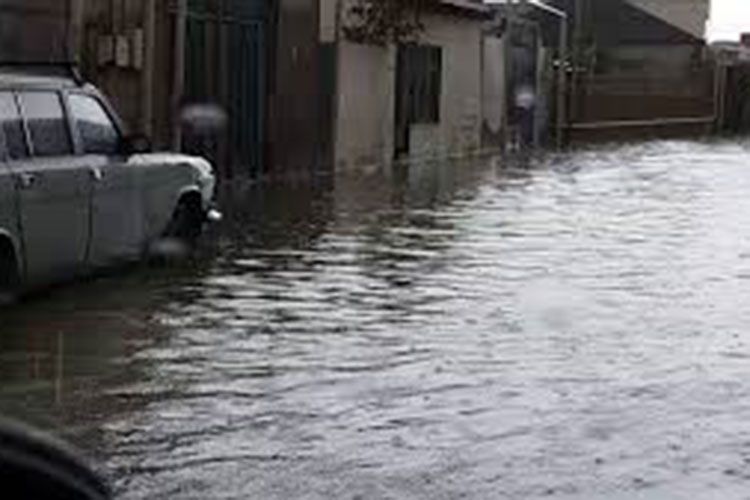 Gürcüstanda azərbaycanlıların yaşadığı kəndləri su basdı