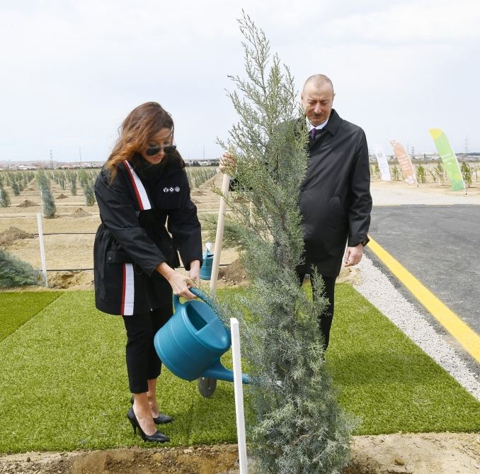 Prezident və birinci xanım ağac əkdilər - FOTOLAR