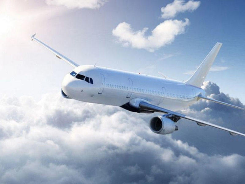 Koronavirus daha bir aviaşirkəti müflis etdi