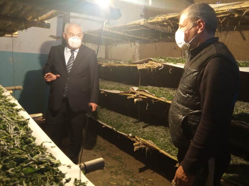 Füzulidə baramaçılığa diqqət artırılıb - İcra başçısı tapşırıq verdi